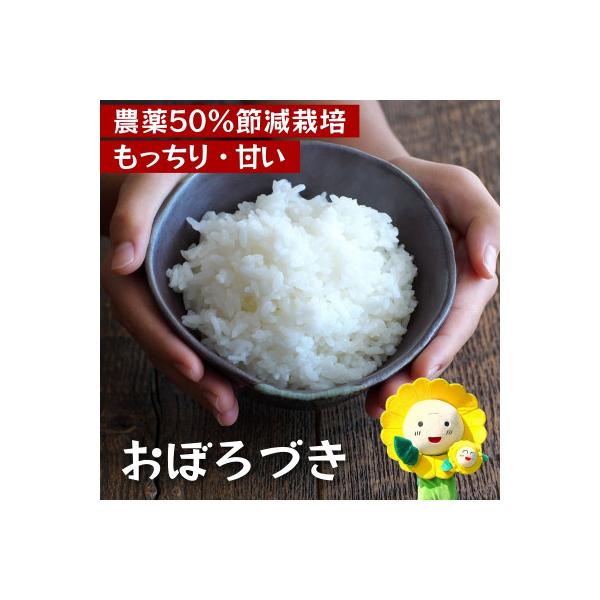 【令和7年産】おぼろづき、ななつぼし 計4kg 50%農薬節減米 北海道北竜町産