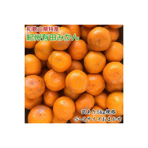 [訳あり]紀州有田みかん約5kg(S～Lサイズ) 「2026年11月中旬より順次発送」【印南町】
