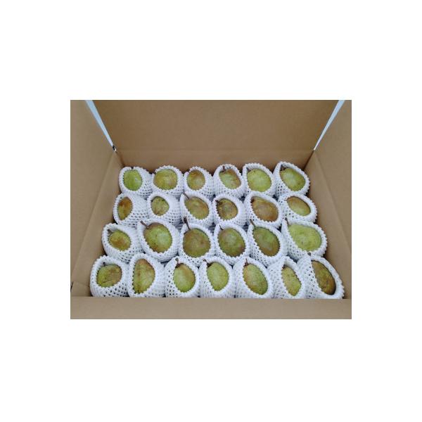 ■お礼品詳細　・配送種別：通常　・提供元：株式会社エナジーファーム■お申し込み・配送・その他　・発送時期：2026-10-24〜2026-11-30(お届け時間帯指定可)　・申込受付期間：〜2026-11-10　・配達外のエリア：離島　・寄...