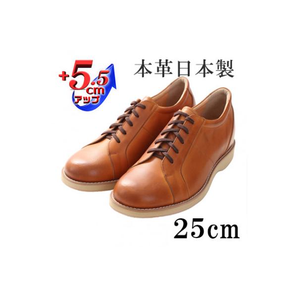 ふるさと納税 大和郡山市 幅広本革スニーカー紐タイプ 5.5cmアップ