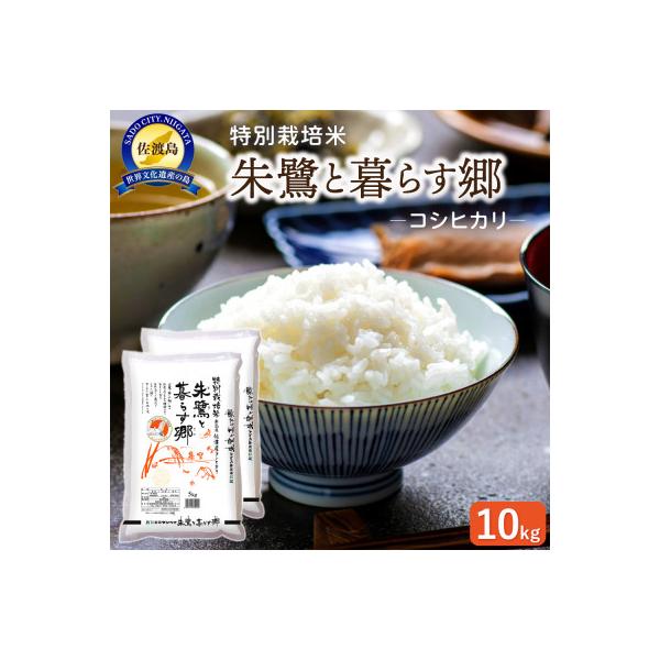 特別栽培米佐渡産コシヒカリ・朱鷺と暮らす郷10kg(5kg×2)