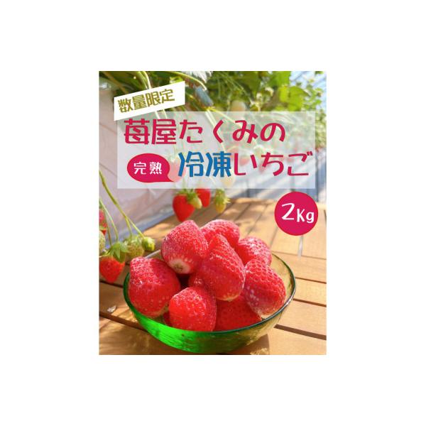 【2026年先行予約】苺屋たくみの冷凍いちご　約1kg x 2袋