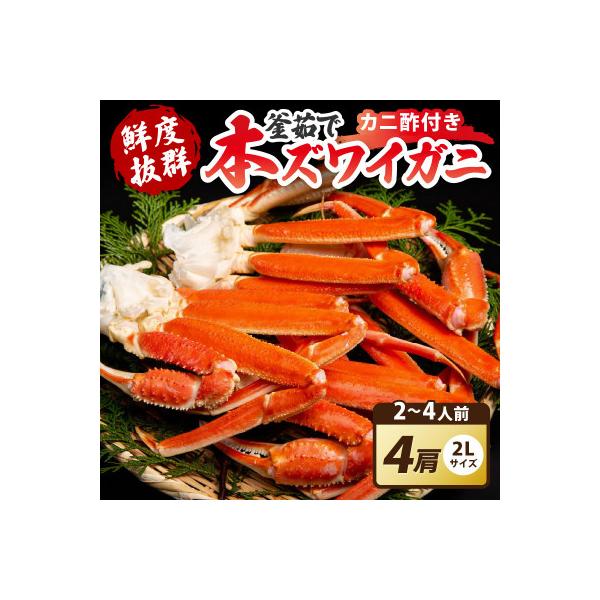 大好評!かに酢付き 厳選!!釜茹で 本ズワイガニ 2Lサイズ4肩 冷蔵便 ずわい蟹足 やわらかい蟹肉
