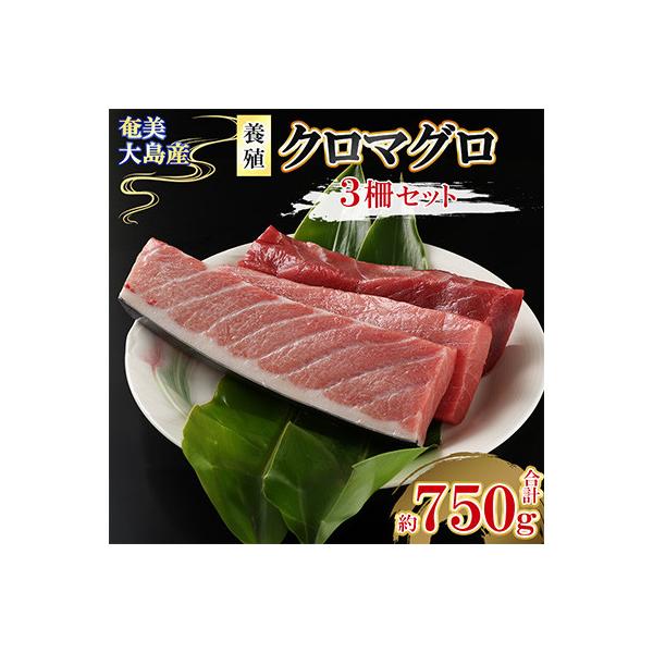 奄美大島産養殖クロマグロ(3柵セット)