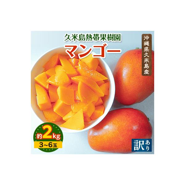 ■お礼品詳細　・配送種別：冷蔵便　・提供元：久米島熱帯果樹園■お申し込み・配送・その他　・発送時期：2026-06-30〜2026-08-31(お届け時間帯指定可)　・申込受付期間：〜2026-07-31　・配達外のエリア：離島　・寄付証明...