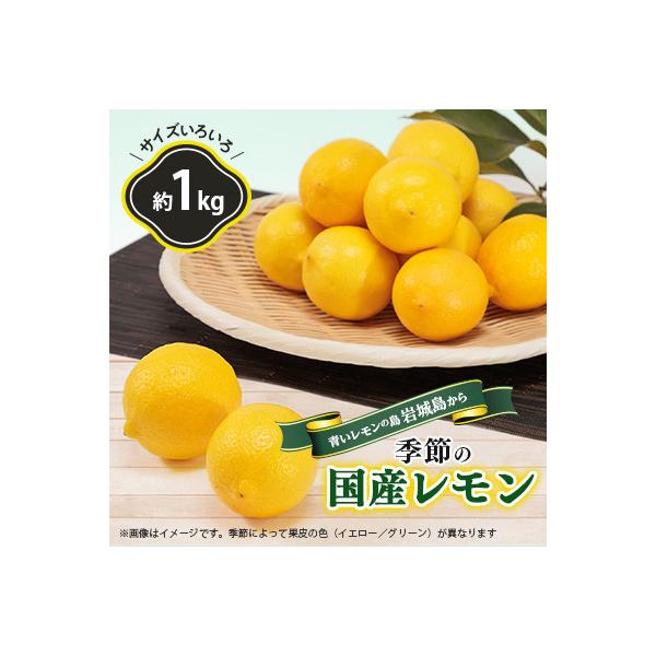 青いレモンの島　貯蔵蔵出しレモン約1kg【お試しセット】(冷蔵便発送)