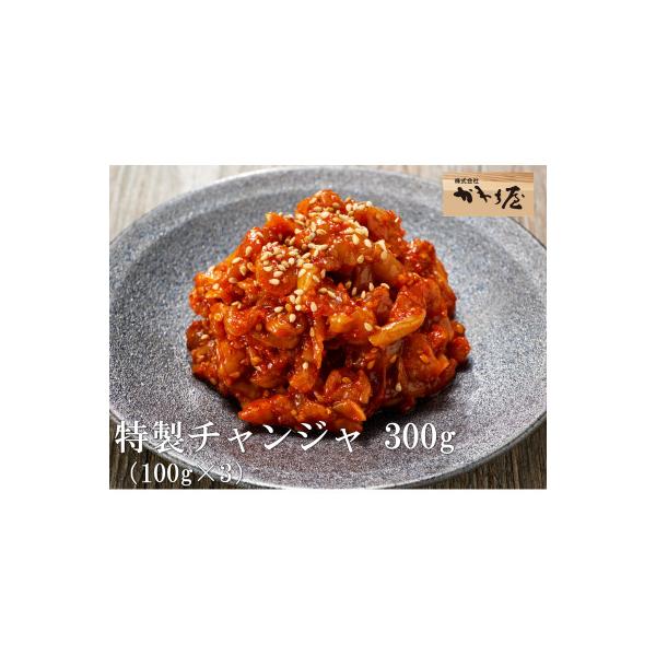 かわち屋 特製チャンジャ300g 100g×3袋 小分け 自家製ヤンニョンジャン 大阪府松原市