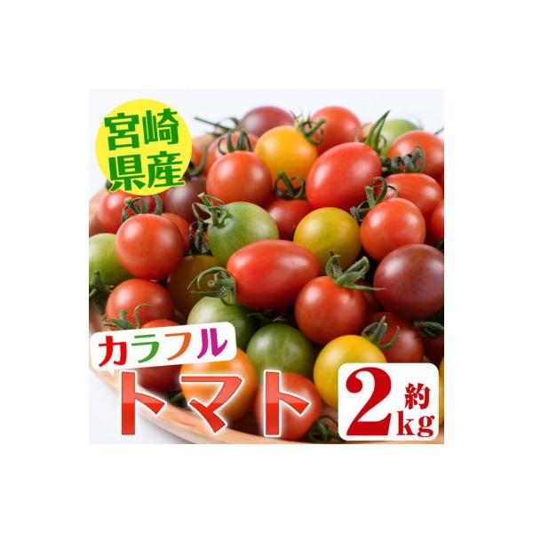 ＜期間限定・先行予約＞金丸さん家のカラフルトマト(2㎏)