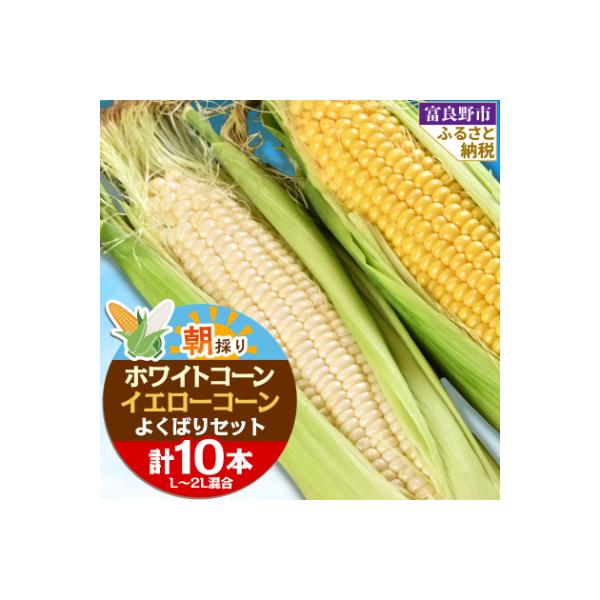 ■お礼品詳細　・配送種別：冷蔵便　・提供元：株式会社グルメファーム■お申し込み・配送・その他　・発送時期：2026-08-04〜2026-10-05(お届け時間帯指定可)　・申込受付期間：〜2026-09-13　・配達外のエリア：離島　・寄...