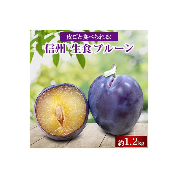 【2026年先行受付】生食用プルーン約1.2kg入り　【沖縄 離島 北海道 配送不可】