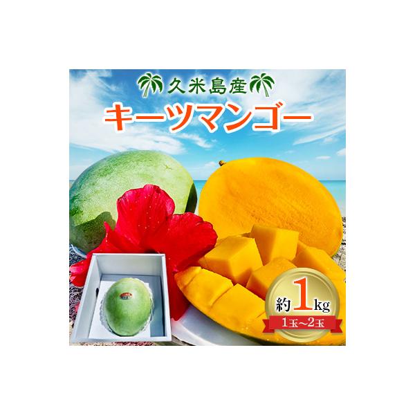 【2026年8月中旬から順次発送】久米島産の幻のキーツマンゴー1kg