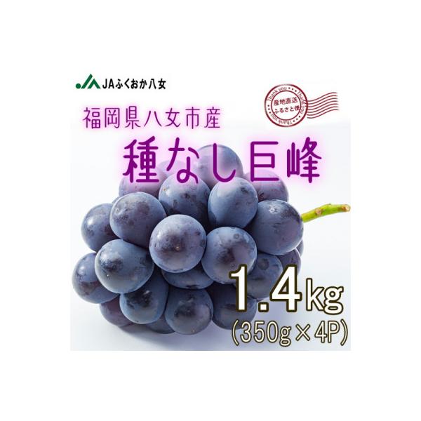 【種なし巨峰350g×4パック】JAふくおか八女より産地直送※7月上旬より順次発送
