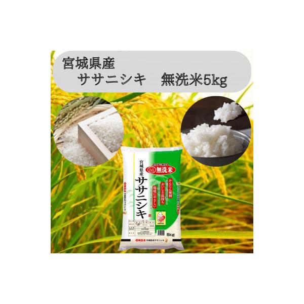 令和7年産　宮城県産【ササニシキ】無洗米5kg