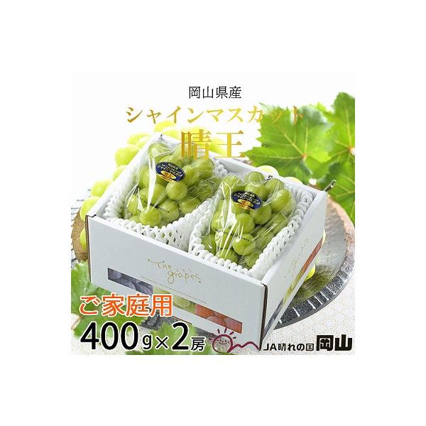 【2026年8月下旬より順次発送】ご家庭用　岡山県産　シャインマスカット　晴王　400g×2房