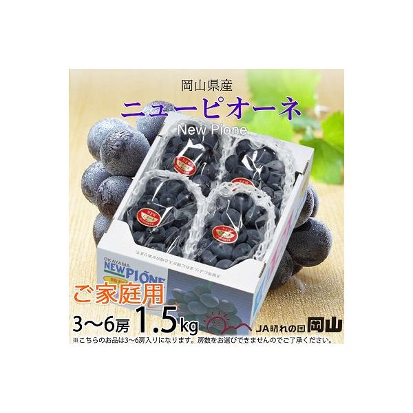 【2026年8月下旬より順次発送】ご家庭用　岡山県産　ピオーネ　1.5kg(3～6房)