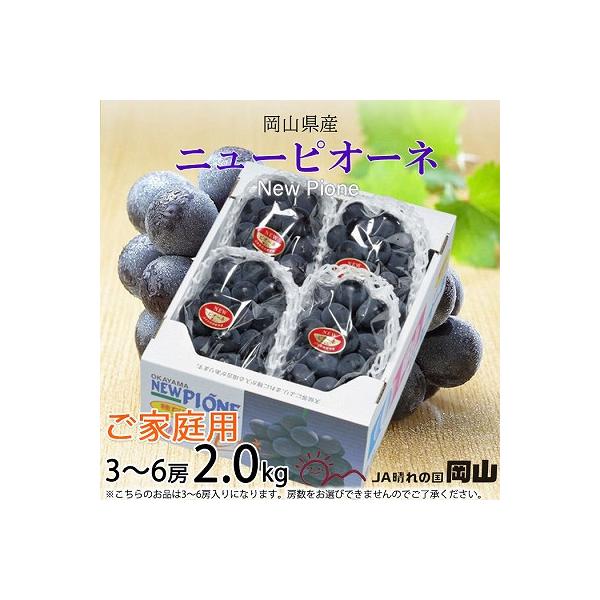 【2026年8月より発送】ご家庭用　岡山県産　ピオーネ　2kg(3～6房)