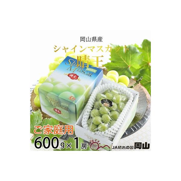 【2026年8月下旬より発送】ご家庭用　岡山県産　シャインマスカット　晴王　600g×1房