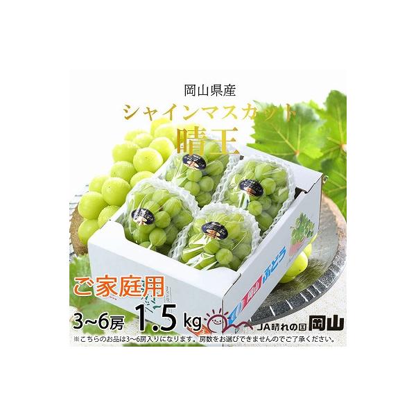 【2026年8月下旬より発送】ご家庭用　岡山県産　シャインマスカット　晴王　1.5kg(3～6房)