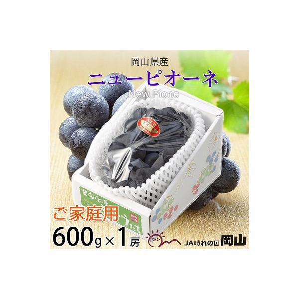【2026年8月下旬より順次発送】ご家庭用　岡山県産　ピオーネ　600g×1房