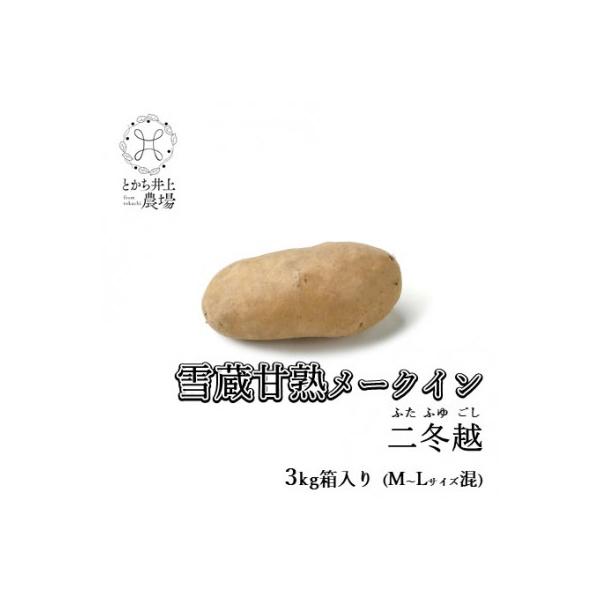 雪蔵甘熟メークイン二冬越 3kg箱入り(M～Lサイズ混)