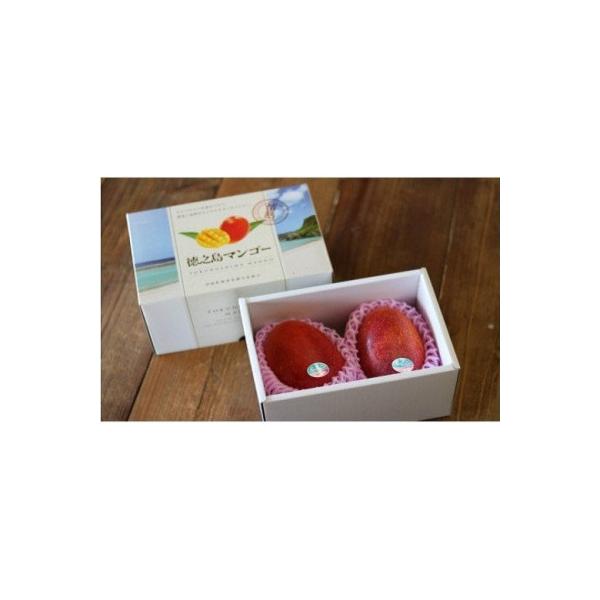 ■お礼品詳細　・配送種別：冷蔵便　・提供元：樺山マンゴー農園■お申し込み・配送・その他　・発送時期：2026-07-15〜2026-08-15(お届け時間帯指定可)　・申込受付期間：〜2026-08-08　・配達外のエリア：離島　・寄付証明...