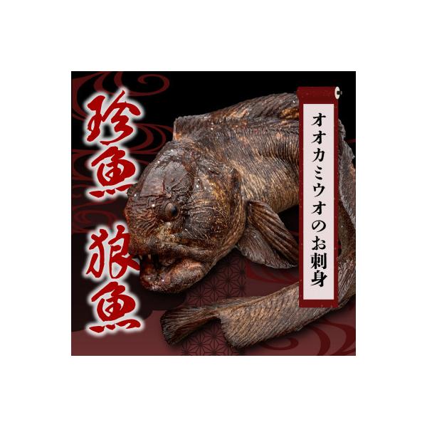 <数量限定>知床斜里産の珍魚「オオカミウオ」!話題作りにいかがですか?【凍眠にて冷凍しています】