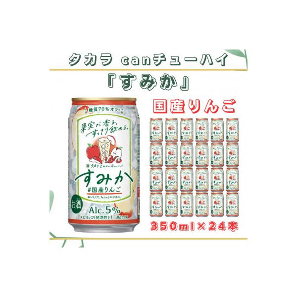 ふるさと納税 高鍋町 タカラcanチューハイすみか国産りんご350ml×24本