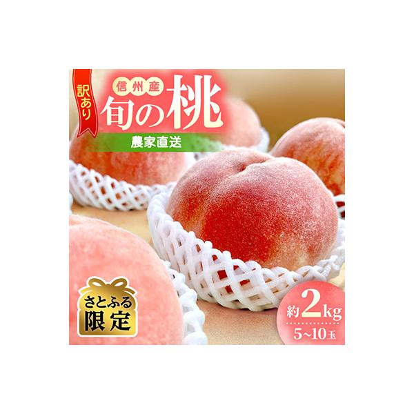 訳あり 信州産 桃 約2kg 農家直送 旬の桃　2026年先行受付【さとふる限定】