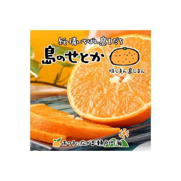 希望の島 せとか 訳あり品 2kg 愛媛 中島産