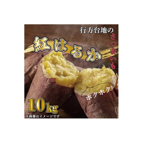 先行予約　茨城県産 紅はるか 訳あり 無選別 さつまいも 紅はるか 10kg サツマイモ CU-55
