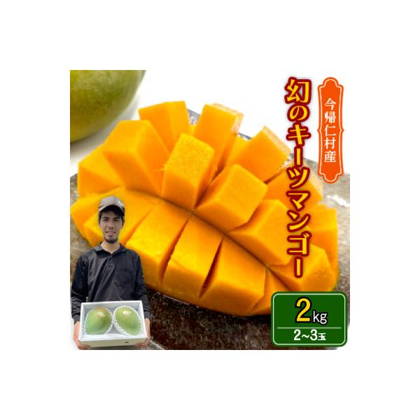 【先行受付・2026年8月から順次発送】仲本マンゴー園の幻のキーツマンゴー2.0kg(2～3玉)