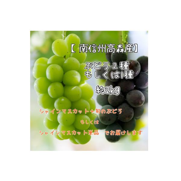 【南信州高森産】シャインマスカットと旬のぶどう(2種or1種)約2kg 2026年9月中旬より発送