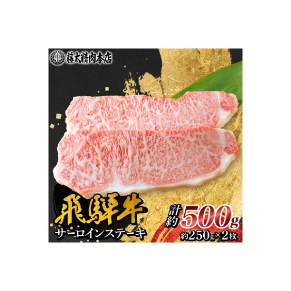 【飛騨牛】サーロインステーキ 2枚入り 計約500g (250g×2枚) 岐阜県産 黒毛和牛
