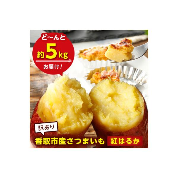 【訳あり】香取市産 さつまいも紅はるか 約5kg×1