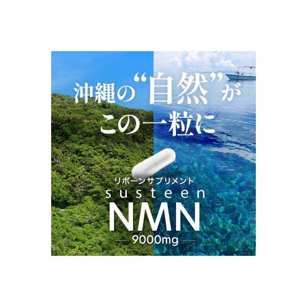 ふるさと納税 南城市 沖縄から美容と健康が気になる方へ susteen