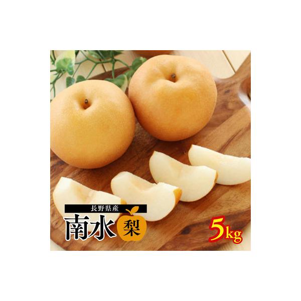 梨 南水(長野県産秀品) 5kg【2026年9月中旬～10月中旬発送予定】