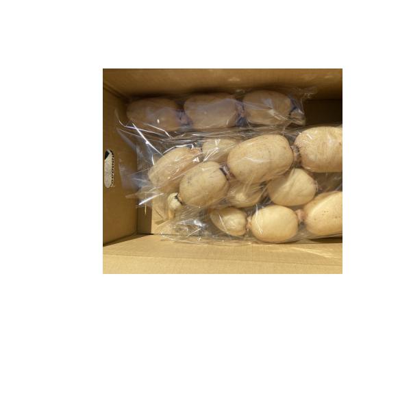 ■お礼品詳細　・配送種別：冷蔵便　・提供元：１０４ＦＡＲＭ■お申し込み・配送・その他　・発送時期：〜2026-02-09(お届け時間帯指定可)　・申込受付期間：〜2026-02-04　・配達外のエリア：離島　・寄付証明書の送付時期目安：申込...