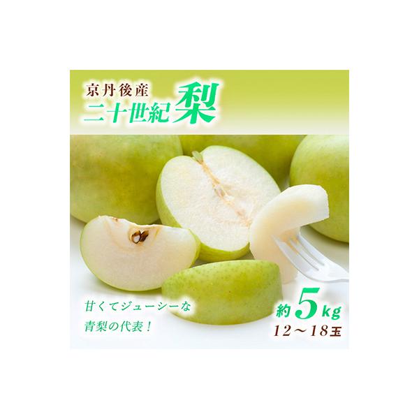 甘～ぃ!ジューシー!青梨の代表京丹後産二十世紀梨 5kg(12～18玉)(2026年9月上旬～発送)