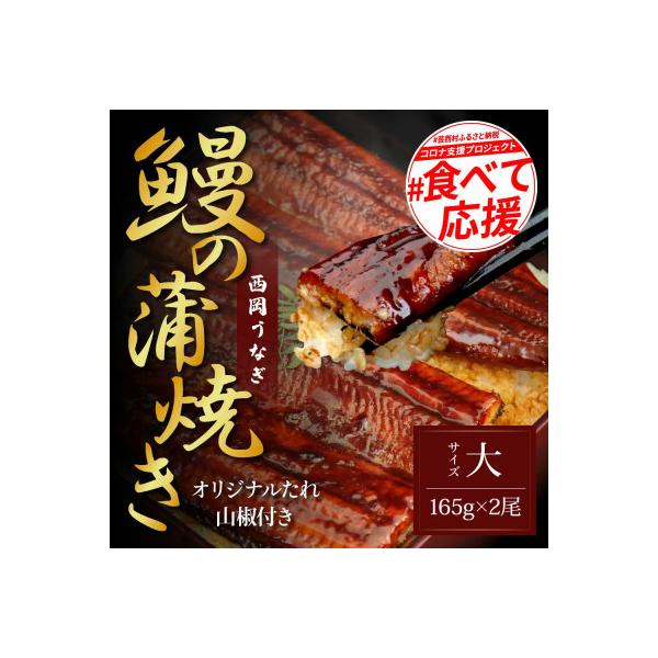 高知ブランド鰻「西岡うなぎ」～L～うなぎの蒲焼き2尾セット(約330g)　タレ付【KGP025】
