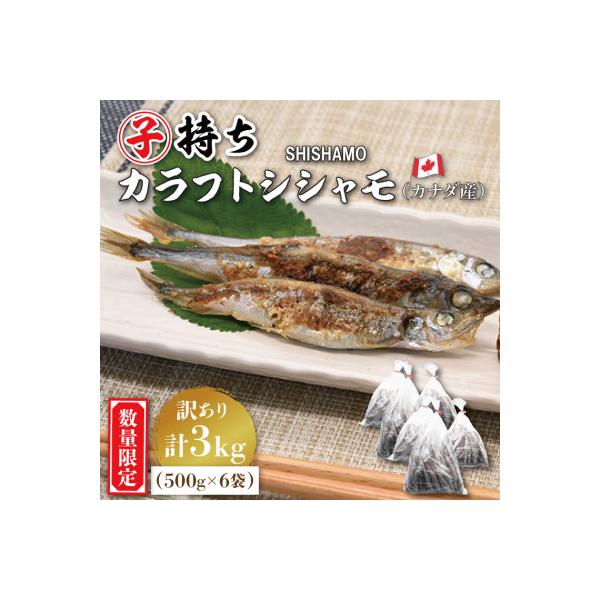 【数量限定!】子持ちカラフトシシャモ3kg(訳アリ品)