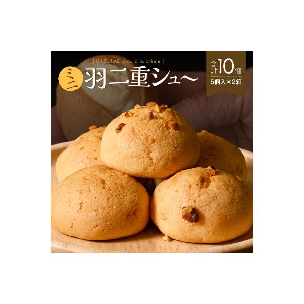 福井の銘菓を洋菓子で味わう 「羽二重シュー」 5個入り × 2箱セット[A-08202]