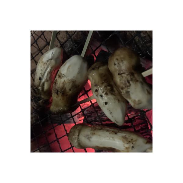 【2026年】秋発送・岩泉産・松茸コロ　150g