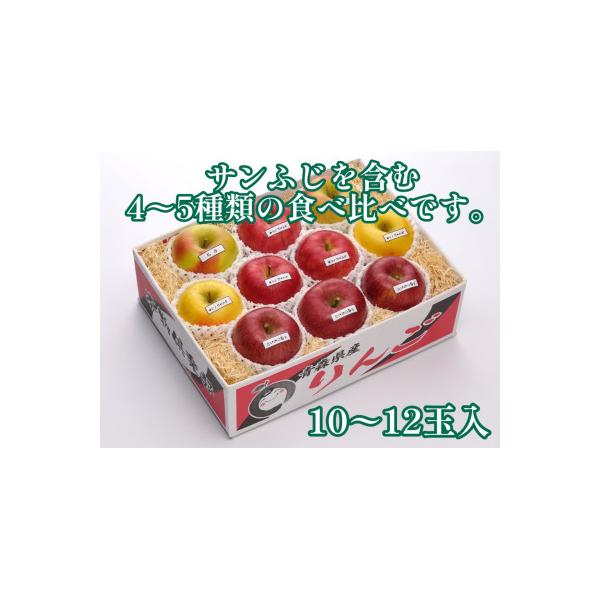 【令和8年産 先行受付】お楽しみ♪青森県産りんご「サンふじ」他 食べ比べセット【離島・沖縄配送不可】