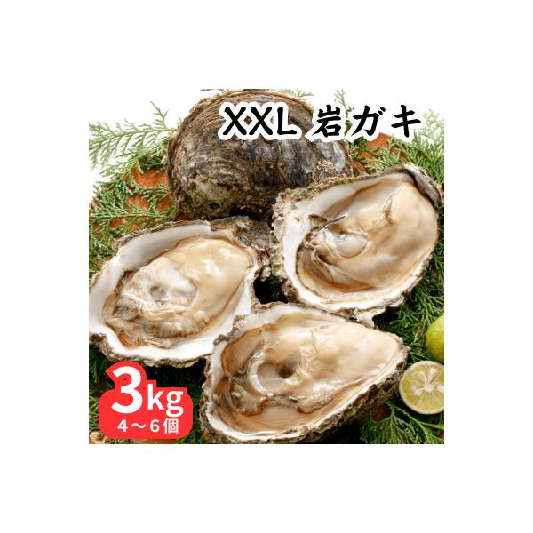 XXLサイズ!天然岩牡蠣3kg(4～6個・特上・殻付き生食用)CAS冷凍カキ 海鮮バーベキューに!