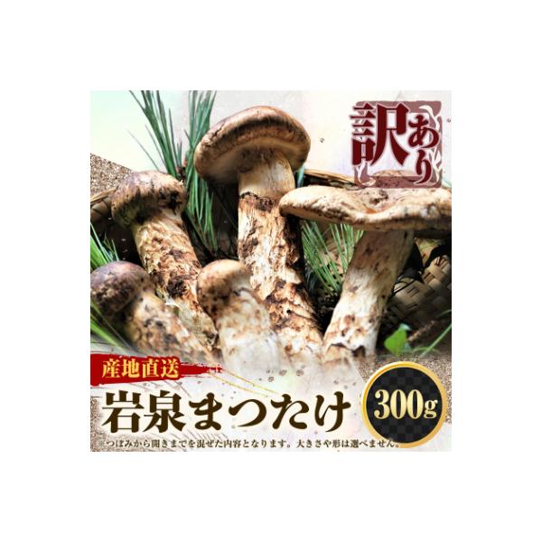 【2026秋発送】【訳アリ】 岩泉まつたけ  300g　家庭用にどうぞ