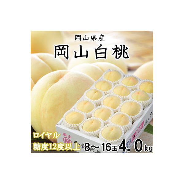 岡山白桃 ロイヤル 8～16玉 4.0kg 岡山県産