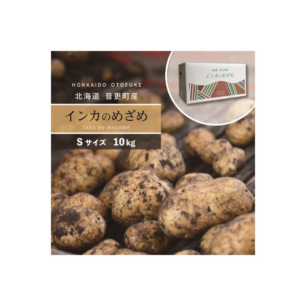 【先行受付】北海道おとふけ産じゃがいも「インカのめざめ」10kg(Sサイズ)【B29】