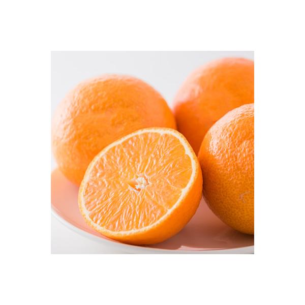 紅まどんな　M～4Lサイズ　5kg 【ご家庭用】