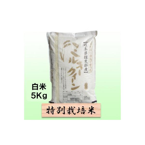 【令和7年産】特別栽培米 5kg【白米】(ミルキークイーン)