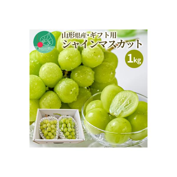 ぶどう シャインマスカット 2～3房 1kg ギフト箱入り 山形県産 【令和8年産 先行予約】